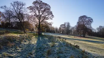 Frosty morning Tapton park maze.jpg